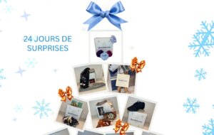 calendrier-qualidanse-avent-noel