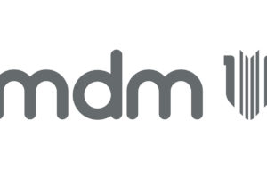 MDM Logo Inline Grey