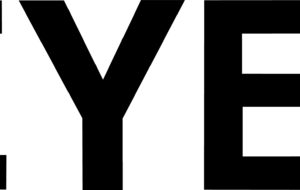 Bleyer-Logo-schwarz